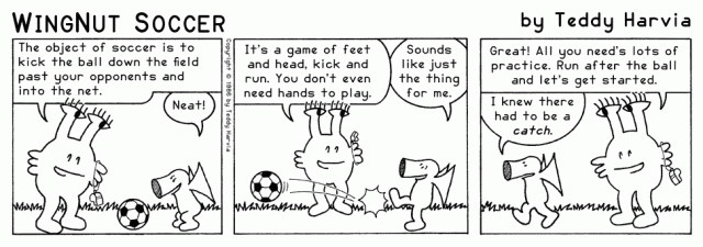 WingNut_Soccer_Chapter_02