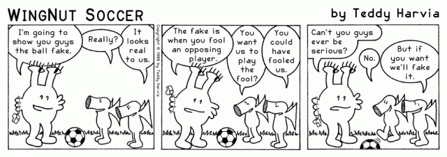 WingNut_Soccer_Chapter_09