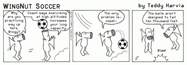 WingNut_Soccer_Chapter_12