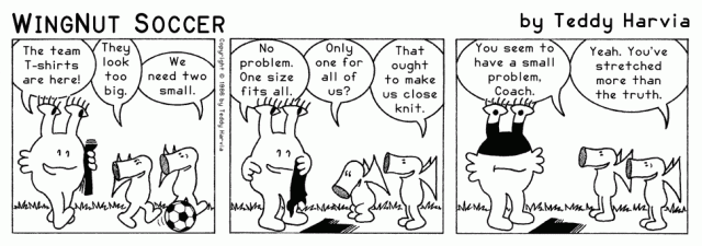 WingNut_Soccer_Chapter_14