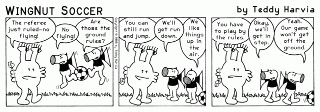 WingNut_Soccer_Chapter_19